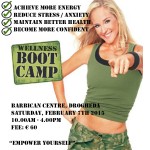 website wellness bootcamp